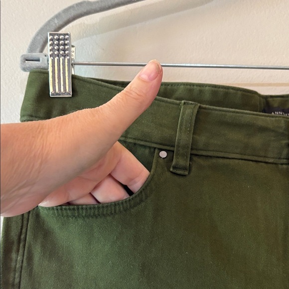 Ann Taylor Factory Dark Green Skinny Jeans Size 6 Curvy - Picture 2 of 4